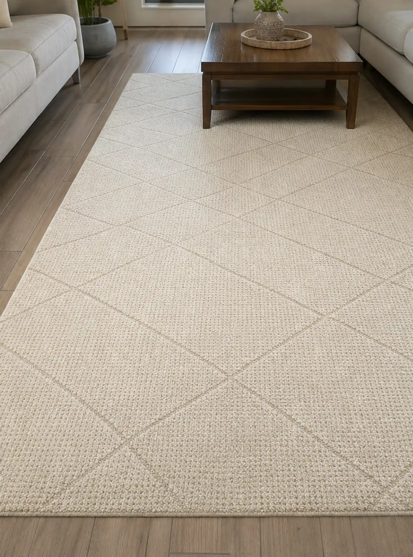Imagen generada de prueba del resultado posterior para limpieza de alfombras y tapetes